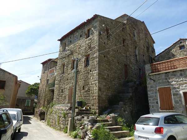 Cognocoli 120