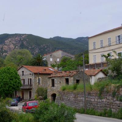 Cognocoli 6 copie