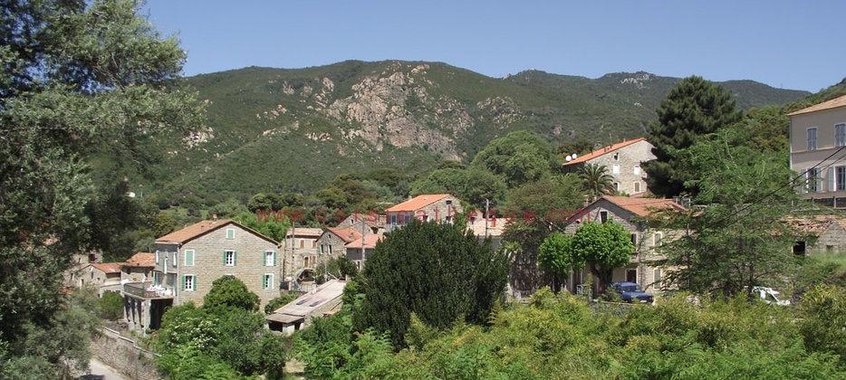 Cognocoli 3 version 3
